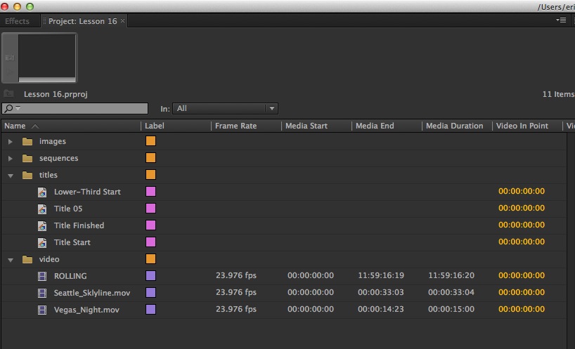 Working with bins > Organizing Media in Adobe Premier Pro