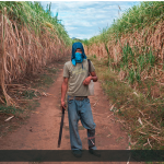 Permalink to Support “Island of Widows” by Ed Kashi